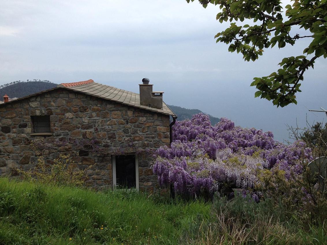 Cottage La Torre Del Pittore Bonassola Exterior photo